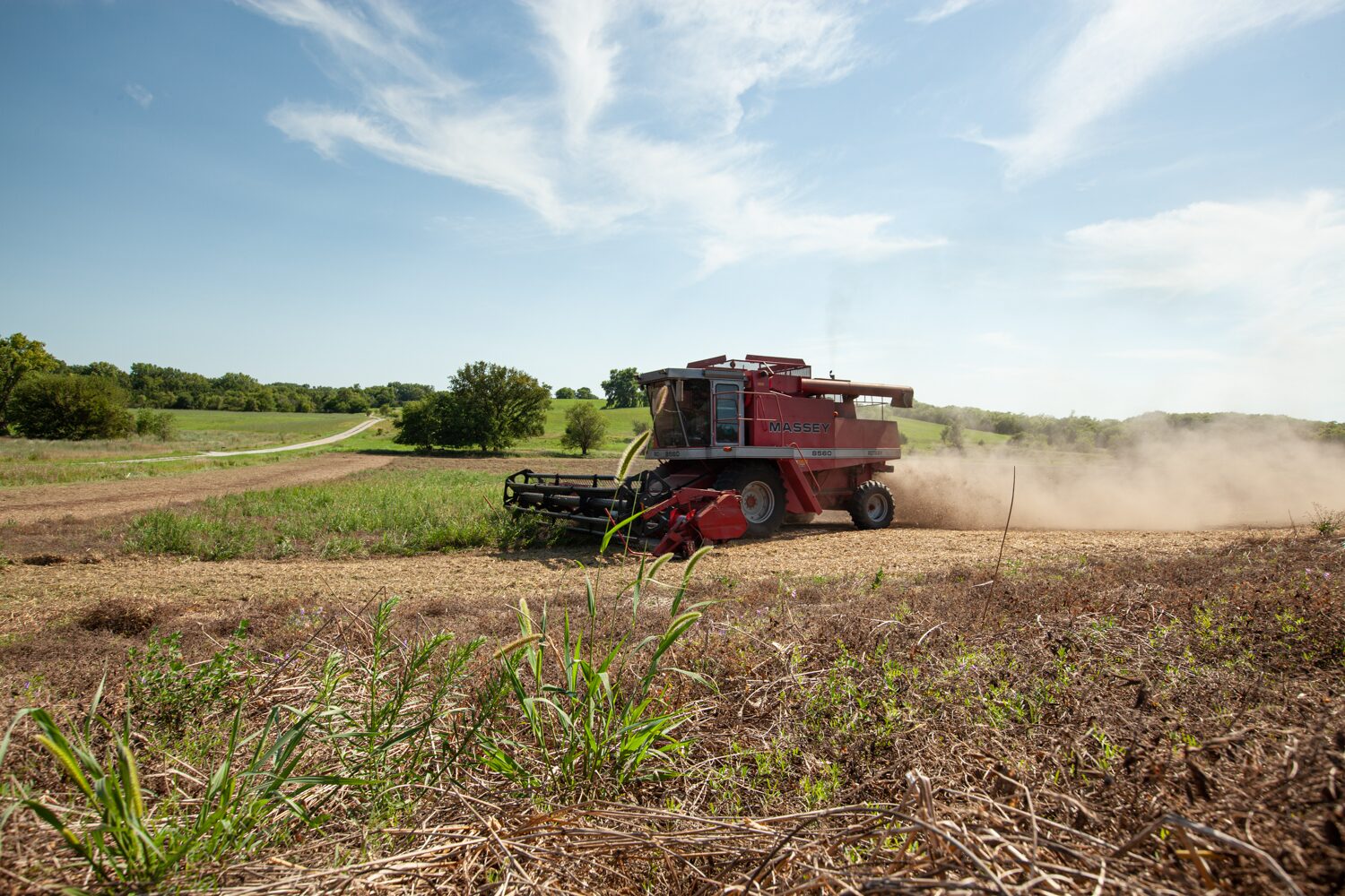 A red combine harvesting seed in a field